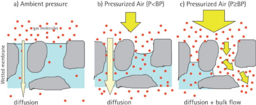 Diagram explaining bubble point membranes